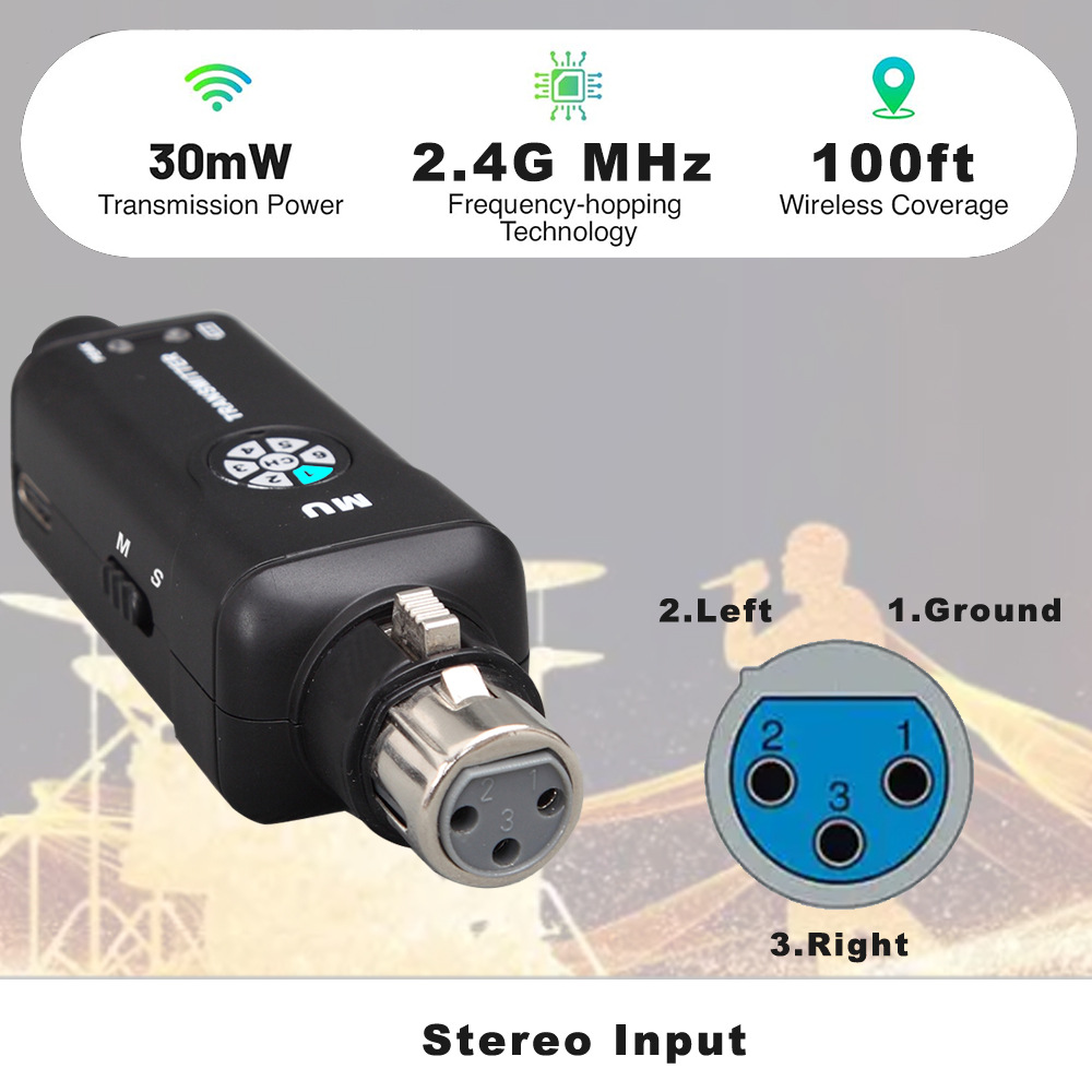 2.4GHz 무선 인이어 모니터 시스템, 스테레오, 낮 - In Ear Monitors For Singers 리뷰 및 가격